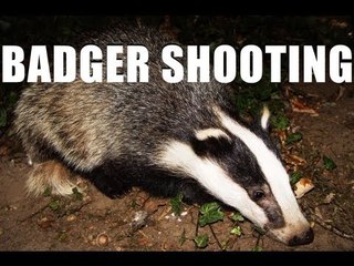 Fieldsports Britain - Shooting badgers and wheelchair guns   (episode 150)