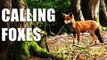 Fieldsports Britain : Shooting foxes, rabbits and how Italians run estates  (episode 148)