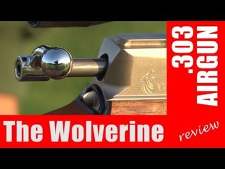 Daystate Wolverine .303 - hot air or hot stuff?