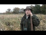 Roe stalking in Hampshire - poaching problem