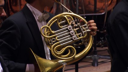 Brahms : Symphonie n°2 sous la direction de Myung-Whun Chung