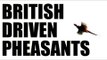 Fieldsports Britain : Driven pheasant shooting + gundog training  (episode 166)