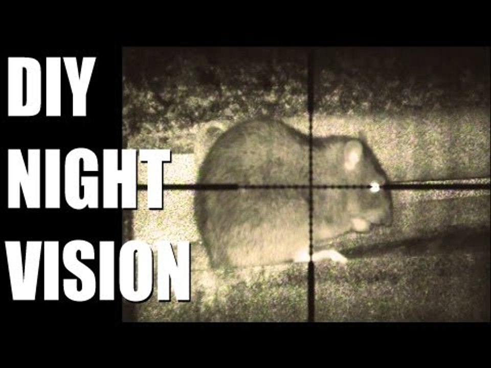 Fieldsports Britain - DIY night vision + flying hawks on pheasants (episode 163)