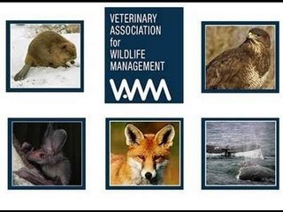 Wildlife Diseases and Conservation -  a one day symposium