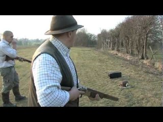 Bolting rabbits to shotguns