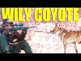 Fieldsports Britain - Wily coyotes, Shot Show kit and record big game hunting (episode 164)