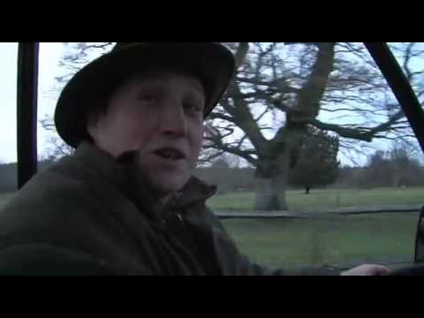 Stalking fallow does in Sussex