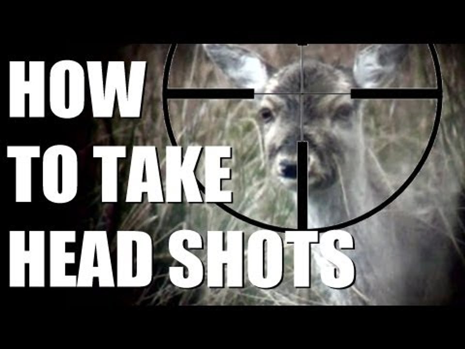 Fieldsports Britain : Fallow deer cull + grayling on the Kennet  (episode 173)