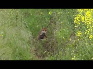 Shooting Politics, episode 14, 12th May 2010