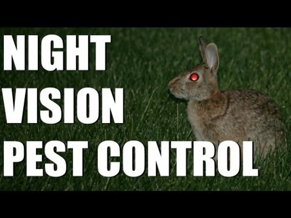 Night vision pest control success