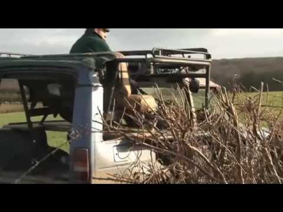 Monster rabbiting truck