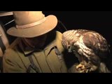 Fieldsports Britain - Lamping with hawks   Olympic shooting   cooking squirrels