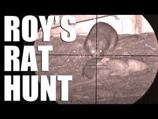 Fieldsports Britain - Roy's rat hunt (episode 174)