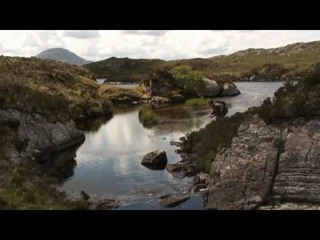 Fieldsports Britain - Trout, pigeons and politics