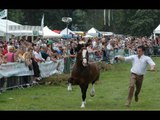 Fieldsports Britain - Crow Shooting, Shane's Castle game fair and how to run a charity clay