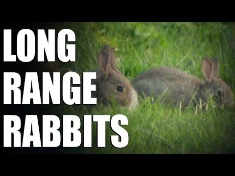 Fieldsports Britain : Long range pest control + flyfishing international (episode 182)