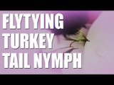 Fly Tying - turkey nymph for trout - how to tie it