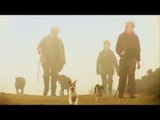 Fieldsports Britain - Rabbit hounds, pheasant cartridges and a Hampshire shoot