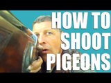 Fieldsports Britain : How to shoot pigeons   muntjac stalking  (episode 180)