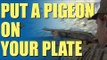 Fieldsports Britain - Pigeon shooting perfection + recipe (episode 192)