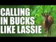 Fieldsports Britain - Calling in bucks like Lassie (episode 193)