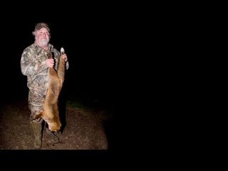 Fieldsports Britain - Britain's biggest fox