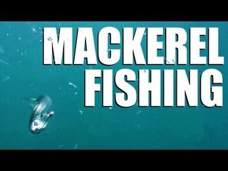 Mackerel fishing off the English south coast - perfect holiday fun