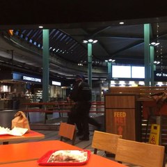 Man With Knife Shot and Detained at Amsterdam's Schiphol Airport
