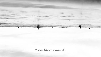 Adrénaline - Surf : PURE redux