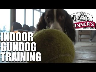 Gundog training tips - Easy indoor training