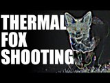 Fieldsports Britain - Thermal fox shooting  (episode 207)