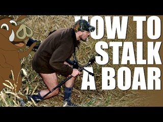 Stalking wild boar in your underwear
