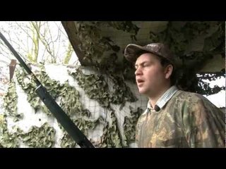 Browning Maxus and X-Bolt .243 test