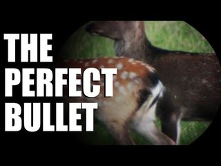 Fieldsports Britain : secrets of a bullet factory  (episode 201)