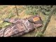 Jack Pyke camouflage shotgun slip - SRP £34.95