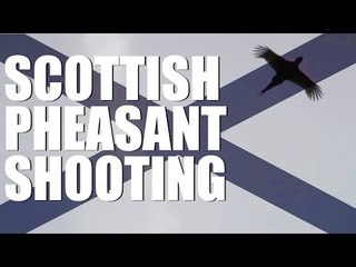 Scottish pheasant shooting at the Aberarder estate