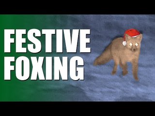 Fieldsports Britain - Festive Foxing  (episode 213)