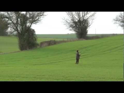 Pheasant shooting at the much-loved Valley Shoot in Kent