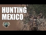 Headhunter Chronicles - Mexico