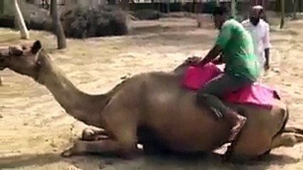VID-20171208-WA0113