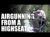 Tips for shooting air rifles from a high seat