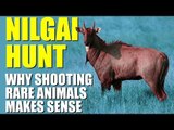 Fieldsports Britain - Why shooting rare animals can make sense (episode 217)