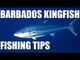 Kingfish fishing in Barbados