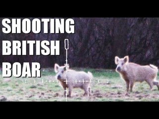Fieldsports Britain - White wild boar and university clay championships (episode 122)