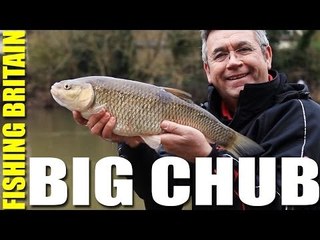 Big Wye Chub and Monster Lechlade Trout - Fishing Britain episode 10