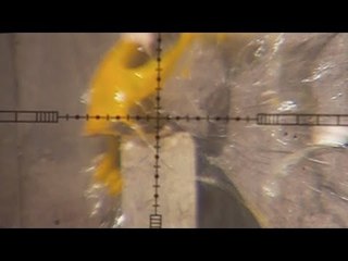 Slo mo shooting - Eggs with air rifles