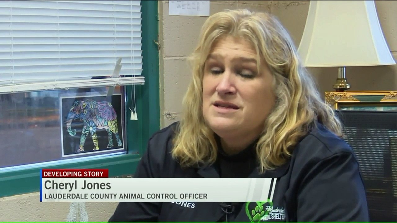 Coyote Found Skinned, Decapitated in Alabama