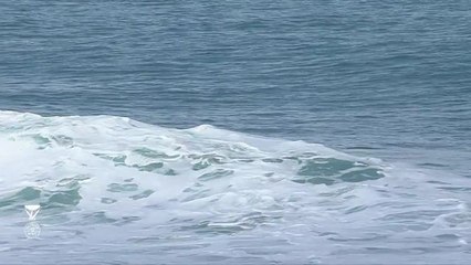 Adrénaline - Surf : J.Florence vs. W.Dantas vs. D.Payne - Condensed Heat