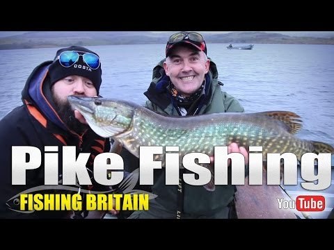 Pike Fishing on Trawsfynydd Lake - Fishing Britain Shorts