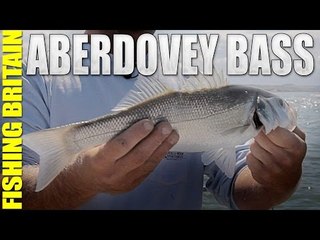 Fly fishing for Aberdovey Bass